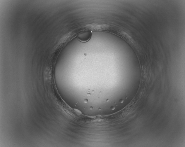 X0000054420357200508121757