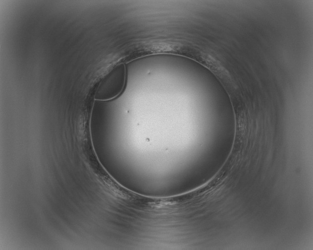 X0000054420359200508121757