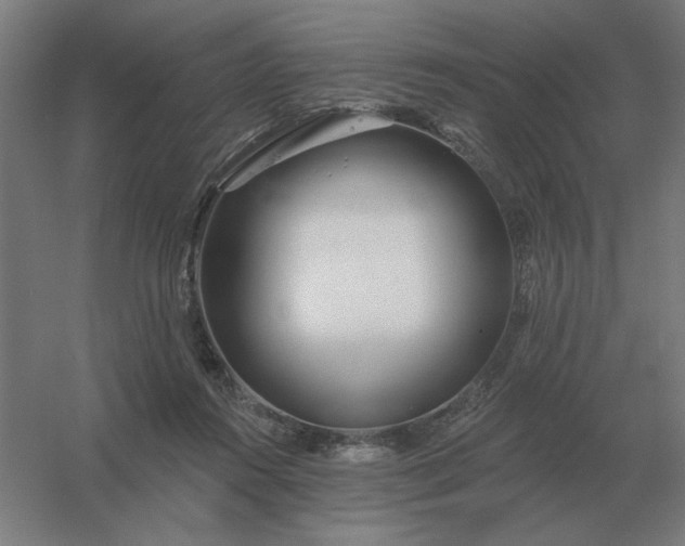 X0000054420360200508121757