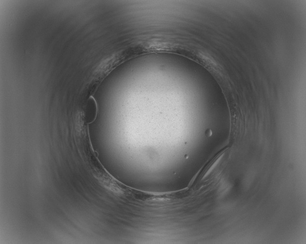 X0000054420361200508121757