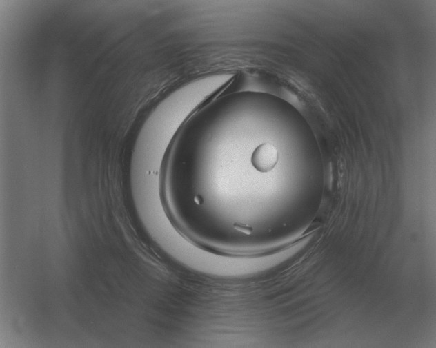 X0000054420362200508121757