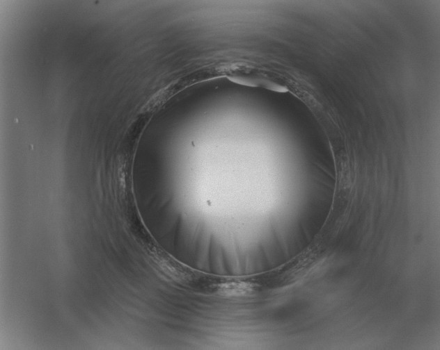 X0000054420363200508121757