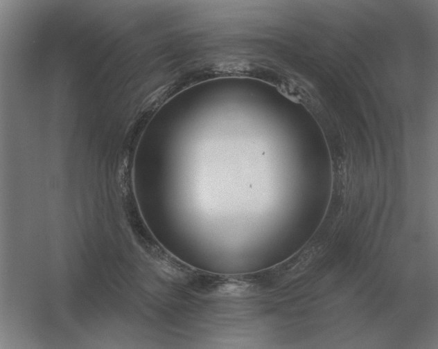 X0000054420364200508121757