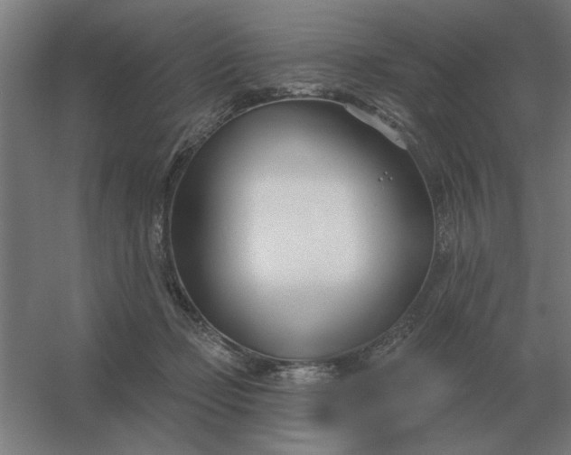 X0000054420365200508121757