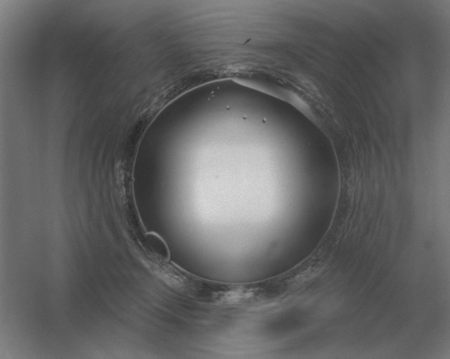 X0000054420366200508121757