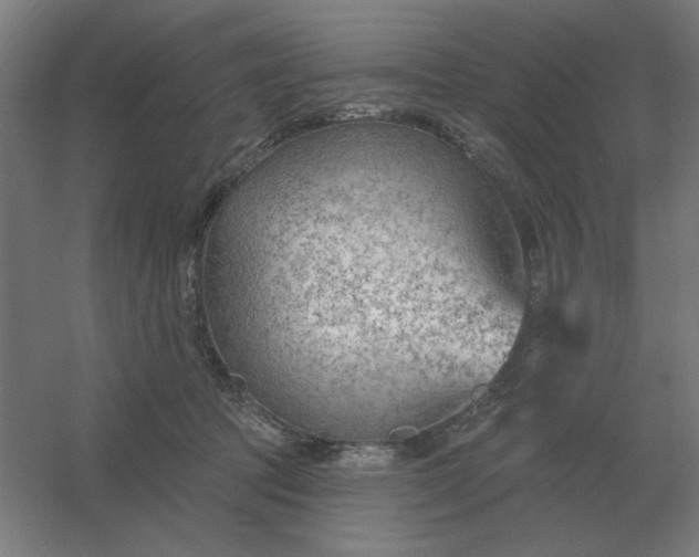 X0000054420369200508121757