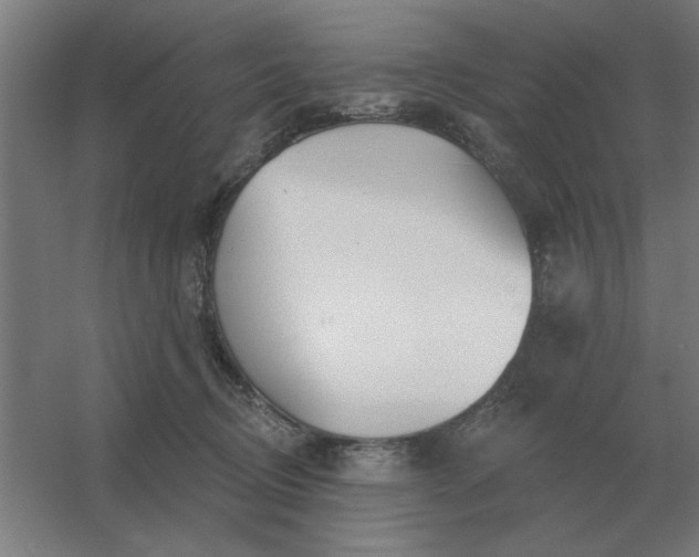 X0000054420370200508121757