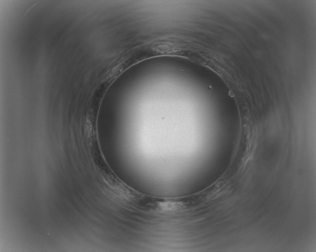 X0000054420371200508121758