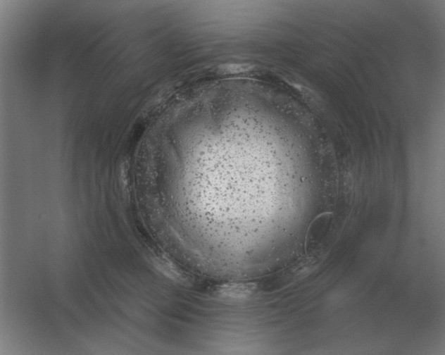 X0000054420373200508121758