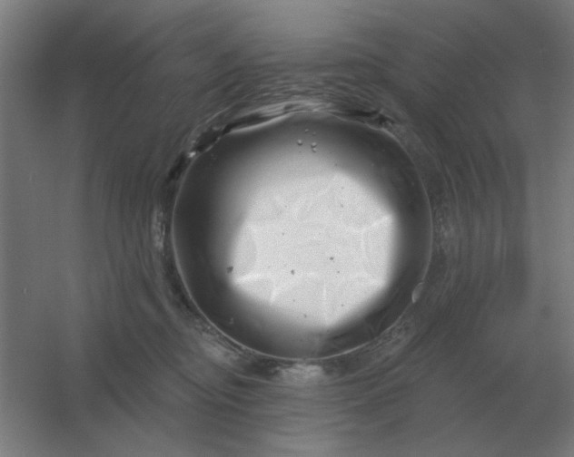 X0000054420374200508121758