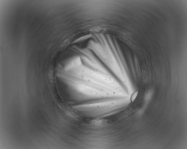 X0000054420375200508121758