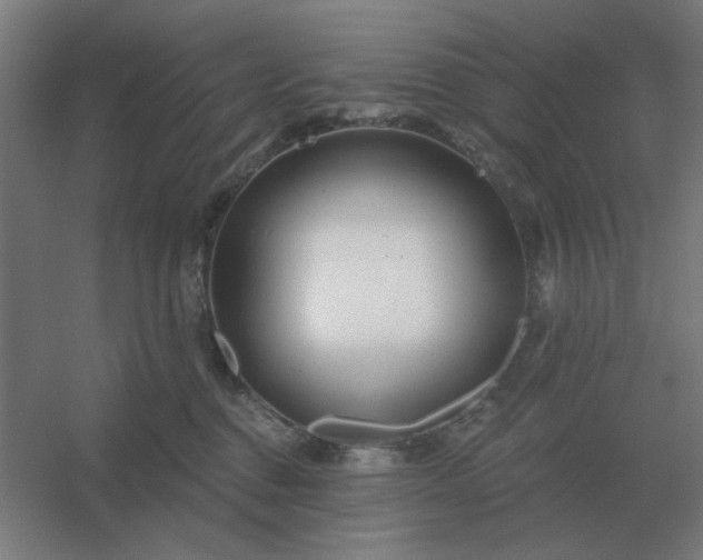 X0000054420376200508121758