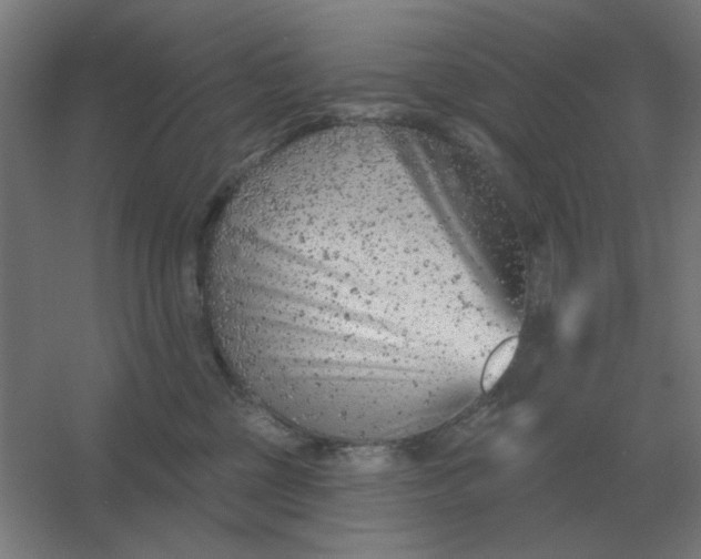 X0000054420377200508121758