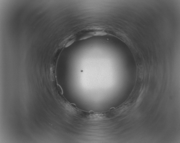 X0000054420378200508121758