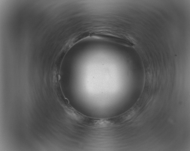 X0000054420379200508121758