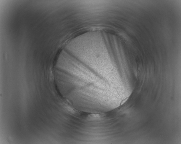 X0000054420381200508121758