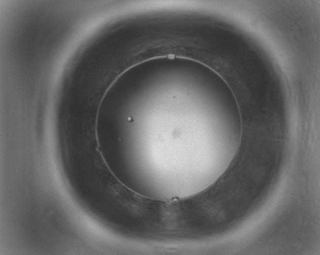 X0000054420382200508121758