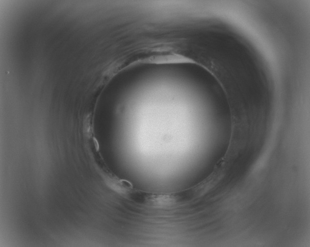 X0000054420383200508121758