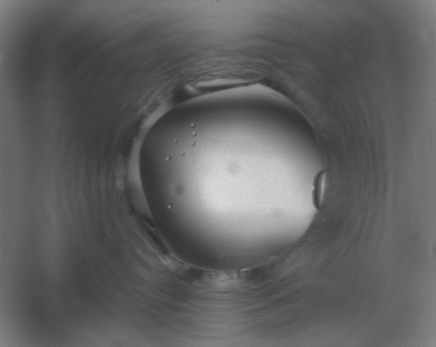 X0000054420384200508121758