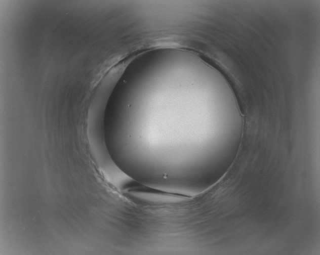 X0000054420385200508121757