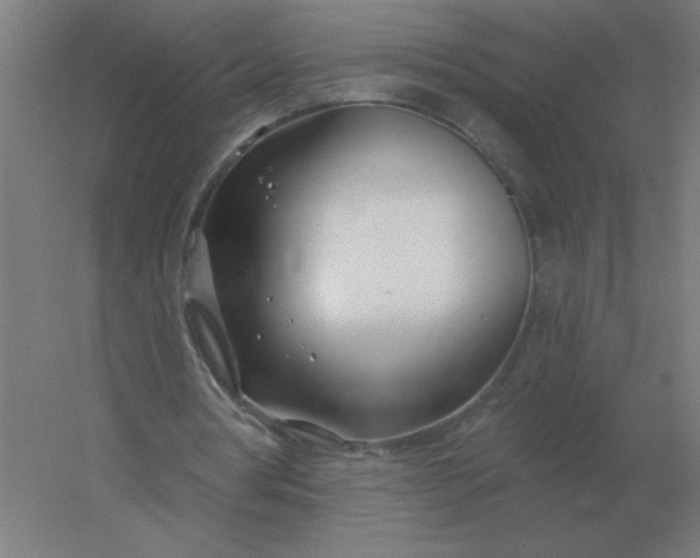 X0000054420386200508121757