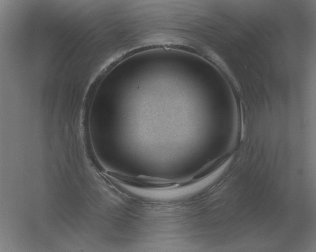 X0000054420387200508121757