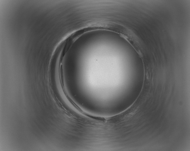 X0000054420388200508121757