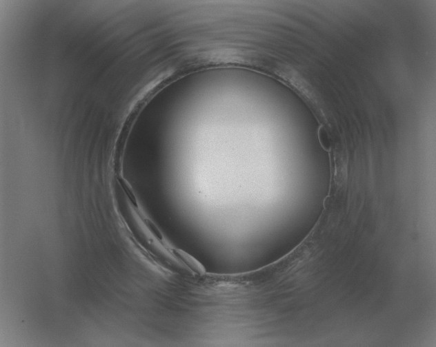 X0000054420390200508121757