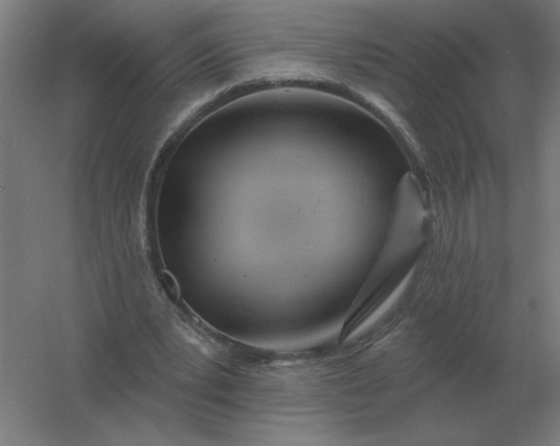 X0000054420391200508121757