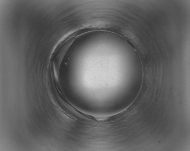 X0000054420392200508121757