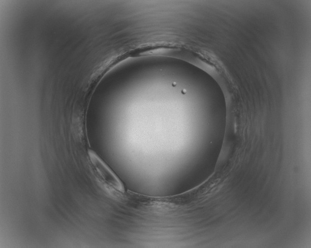 X0000054420393200508121757