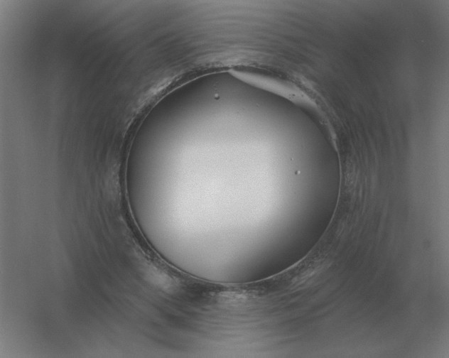 X0000054420394200508121757