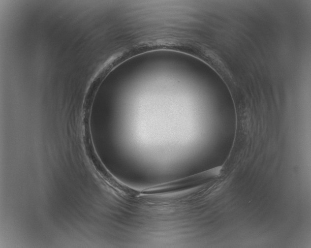 X0000054420395200508121757