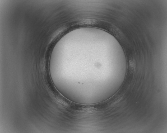 X0000054420396200508121757