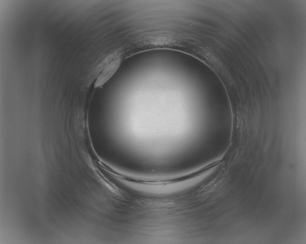 X0000054420397200508121757