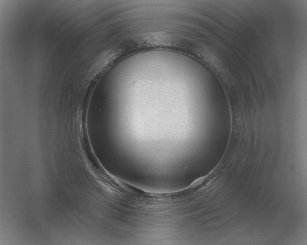 X0000054420398200508121757