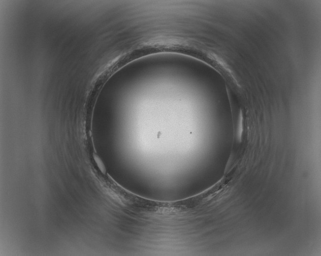 X0000054420399200508121757