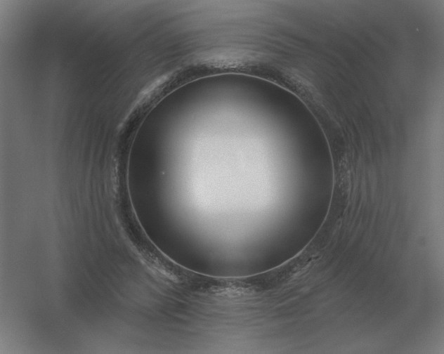 X0000054420400200508121757