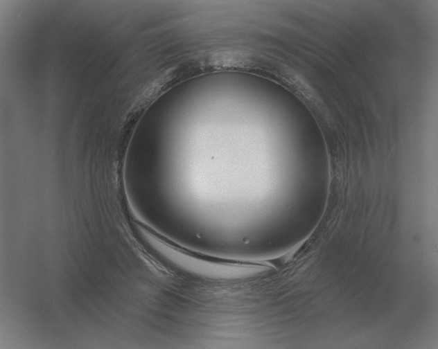 X0000054420401200508121757