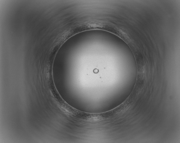 X0000054420402200508121757