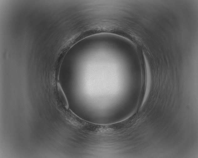 X0000054420403200508121757