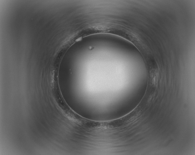 X0000054420404200508121757