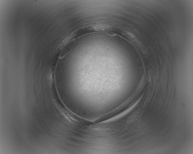 X0000054420405200508121757