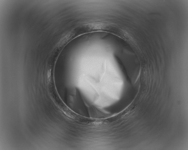 X0000054420406200508121757