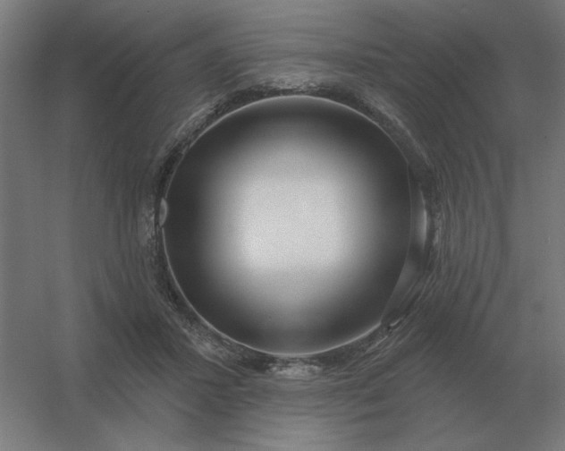 X0000054420407200508121757