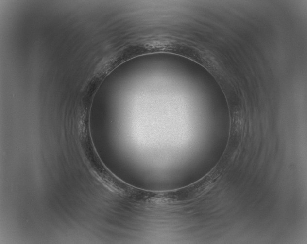 X0000054420408200508121757