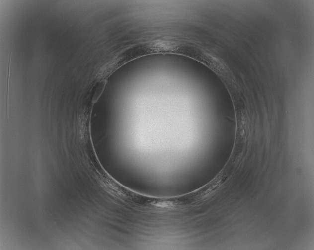 X0000054420409200508121757