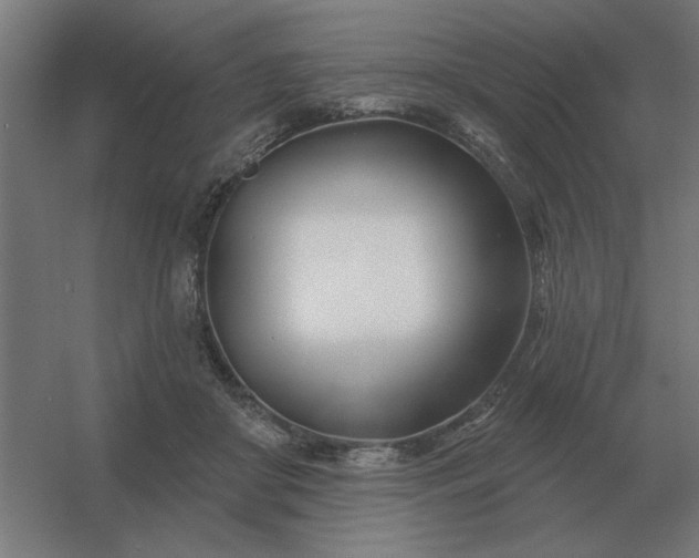 X0000054420410200508121756