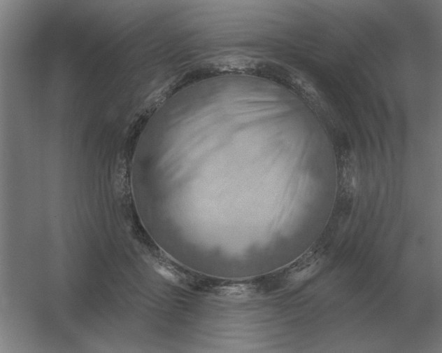 X0000054420411200508121756