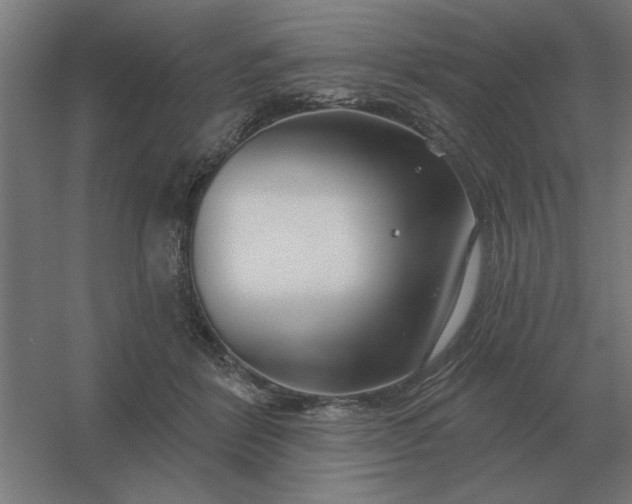 X0000054420412200508121756